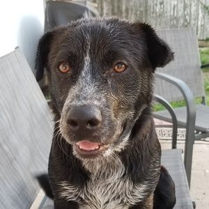 Meet your Posher, Sheena